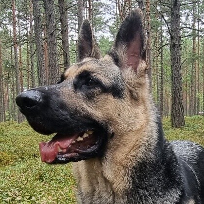 Тестовая запись