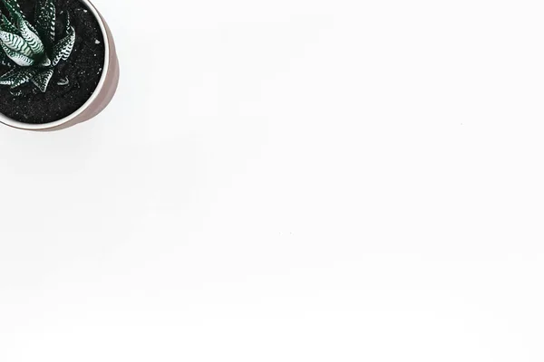 Beyond the Sheets: Debunking 7 Common Sex Myths for Better Sex